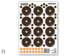 CHAMPION TARGET VISICOLOR ADHESIVE BULLSEYE 2 5 PACK + PATCHES